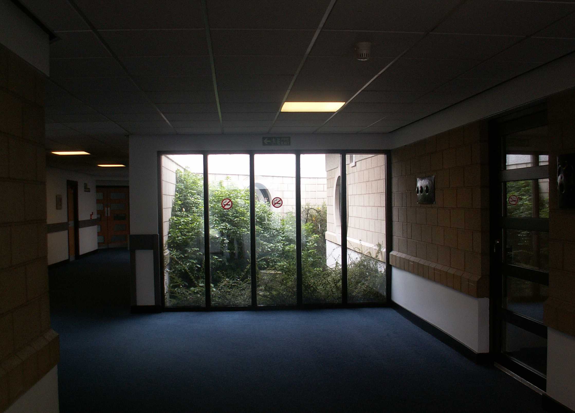 Caring Hands Recovery