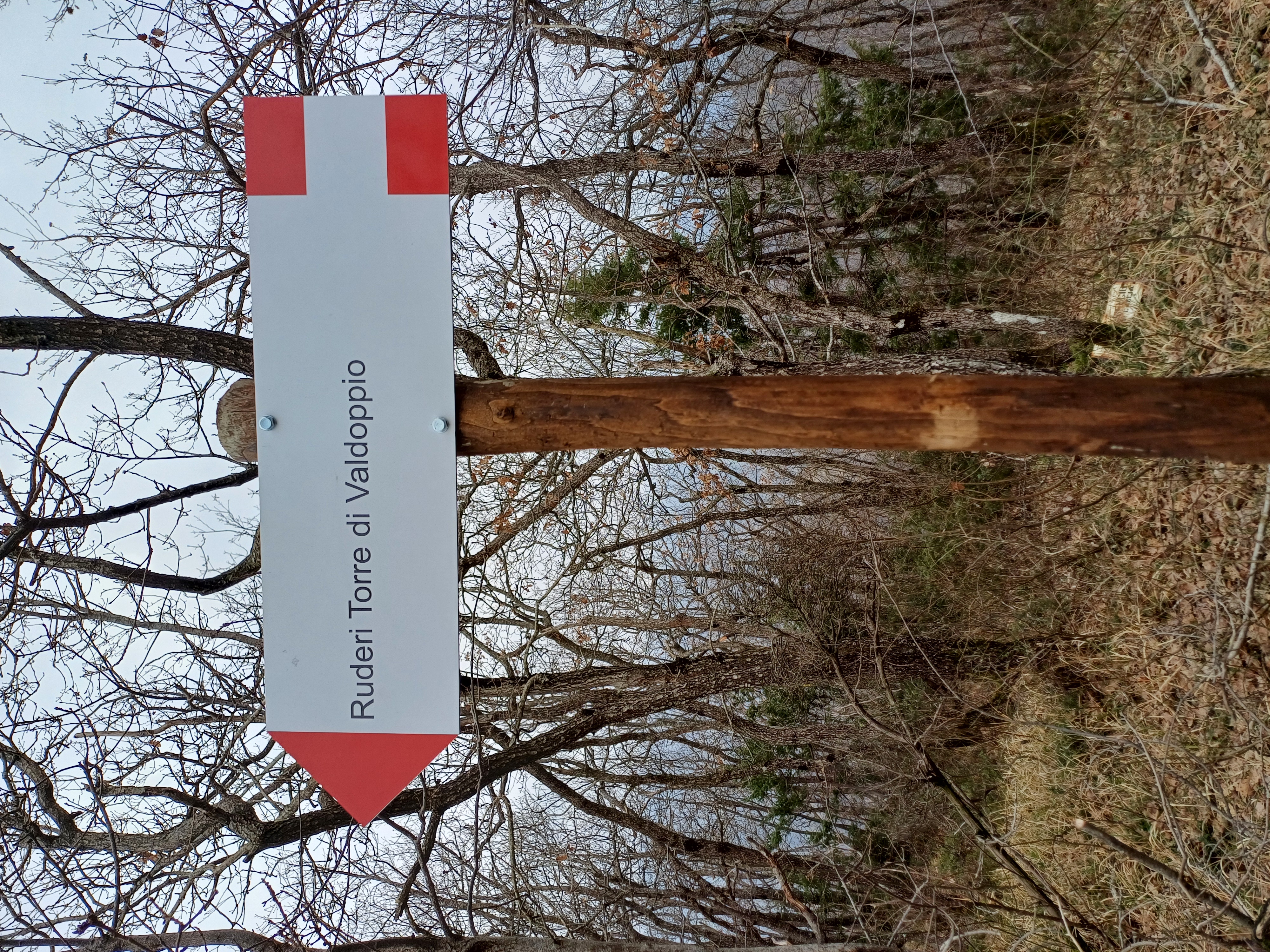 New Beginnings: Insights