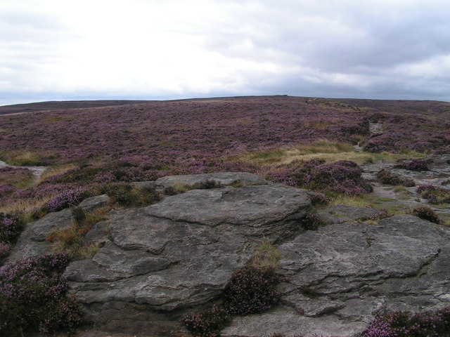 Drug Addiction Recovery